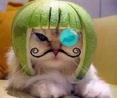 Lime Cat edited with curled moustache and a gem