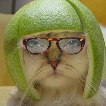 Lime Cat wearing tortoiseshell glasses