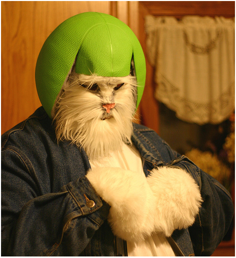 A person wearing a green helmet in the style of Lime Cat