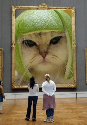 Lime Cat portrait hung in a museum gallery