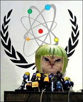 Lime Cat behind a bank of microphones at a press conference